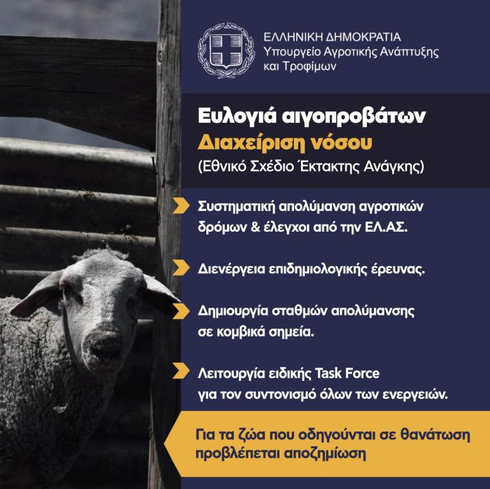 ΚΑΡΤΑ 5